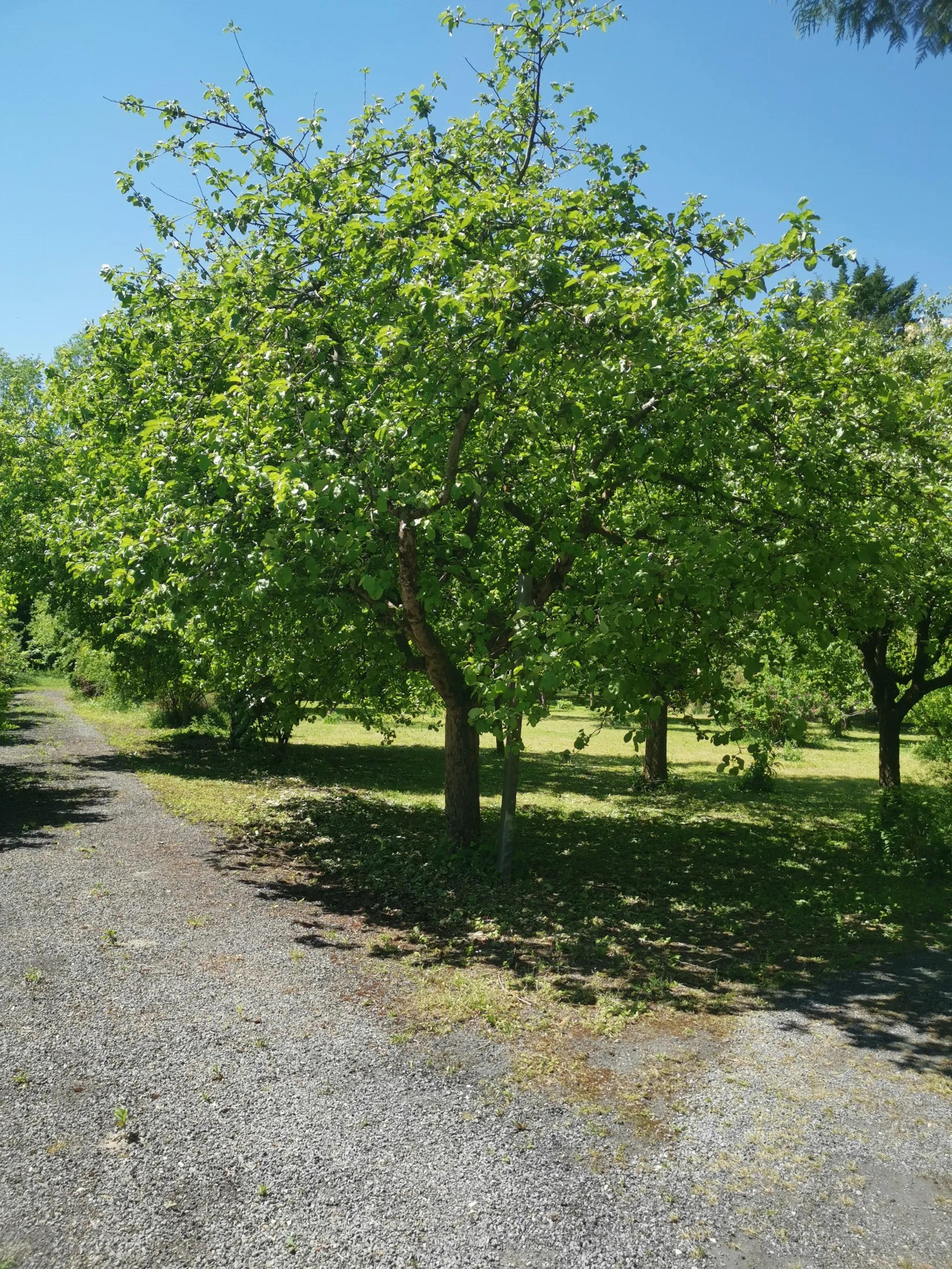 Magnifique propriété dotée d'un étang, d'une forêt et d'un verger