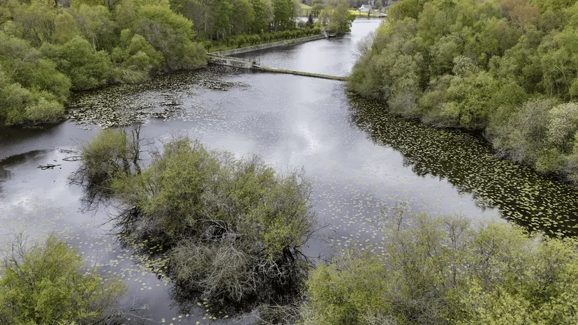 Etang de 22 hectares avec cabane perchée sur l’eau