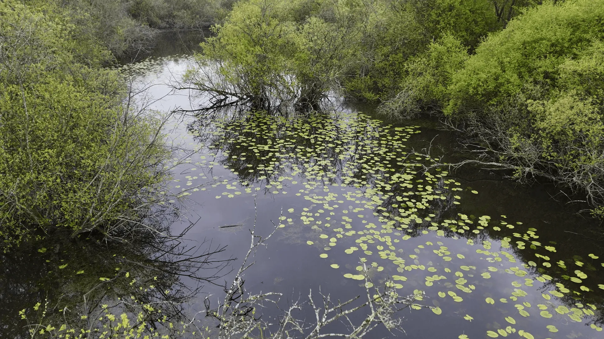Etang de 20ha avec cabane perchée sur l’eau