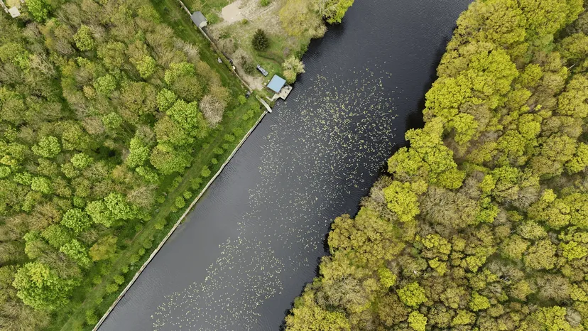 Etang de 22 hectares avec cabane perchée sur l’eau