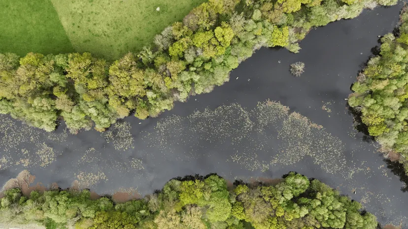 Etang de 22 hectares avec cabane perchée sur l’eau