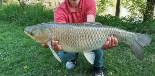 Rent pond in the Sarthe in the heart of nature