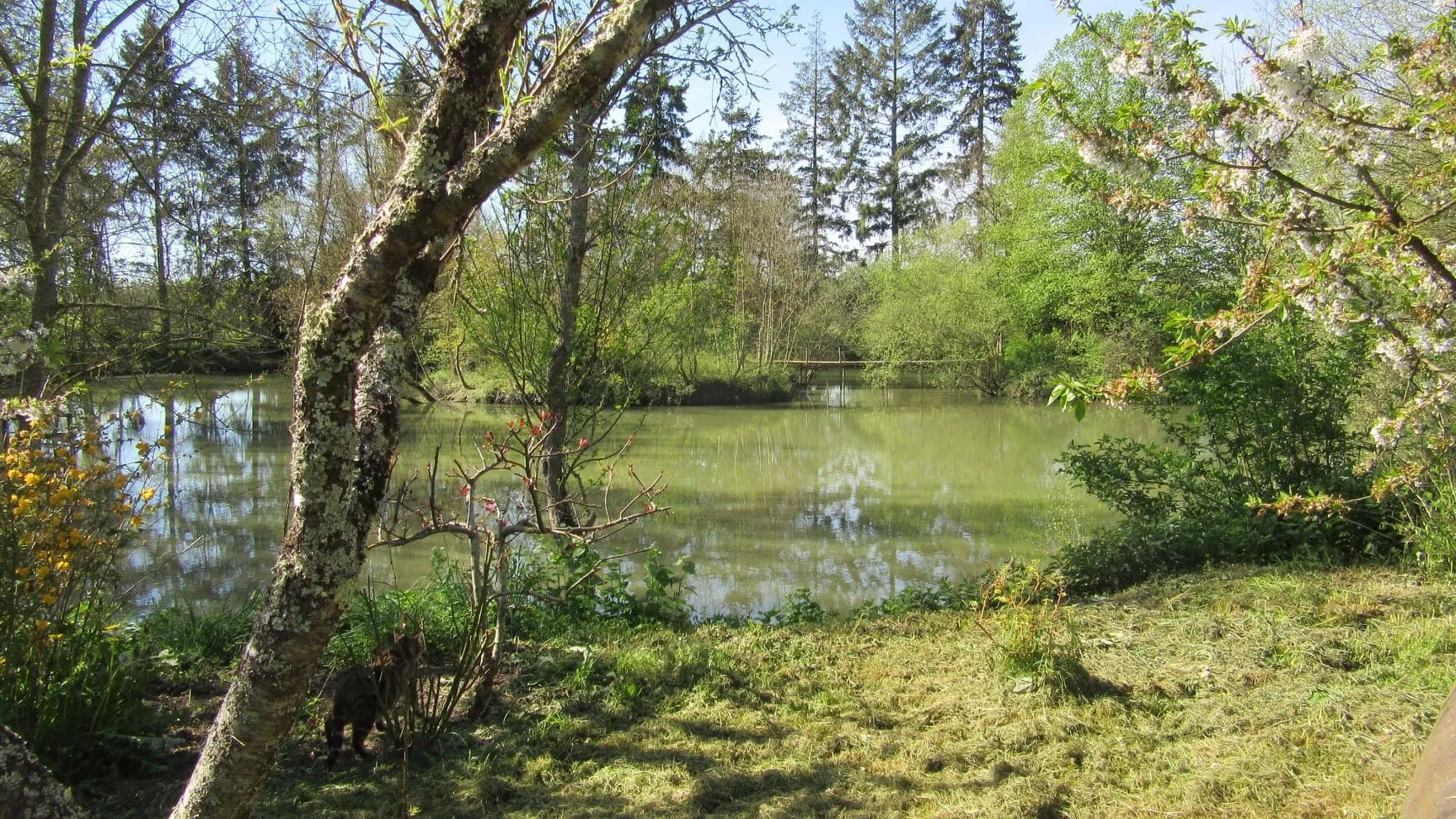 Rent pond in the Sarthe in the heart of nature