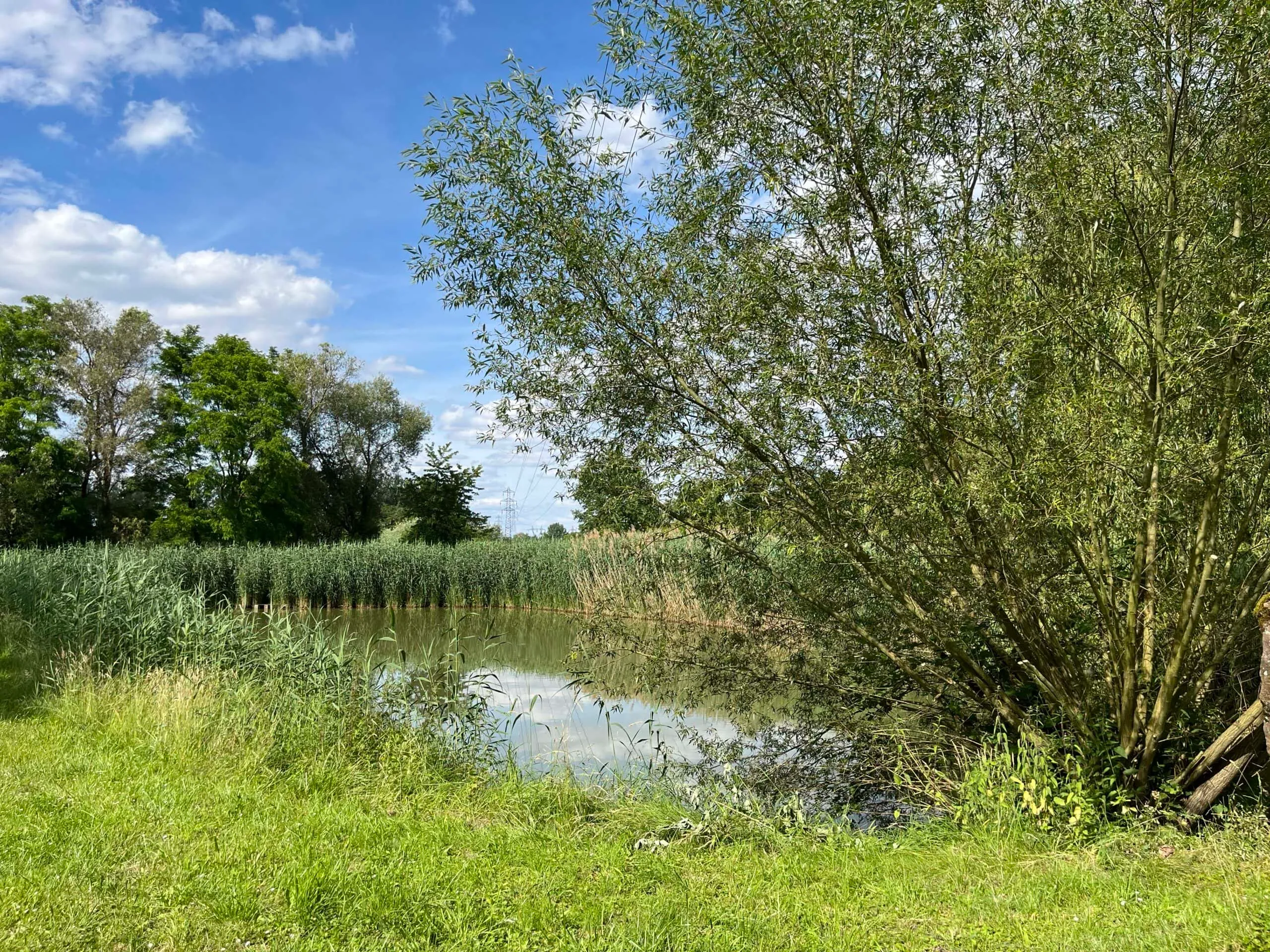 Etang à louer en Alsace de 1.5ha, l’endroit pour faire une belle fête de famille