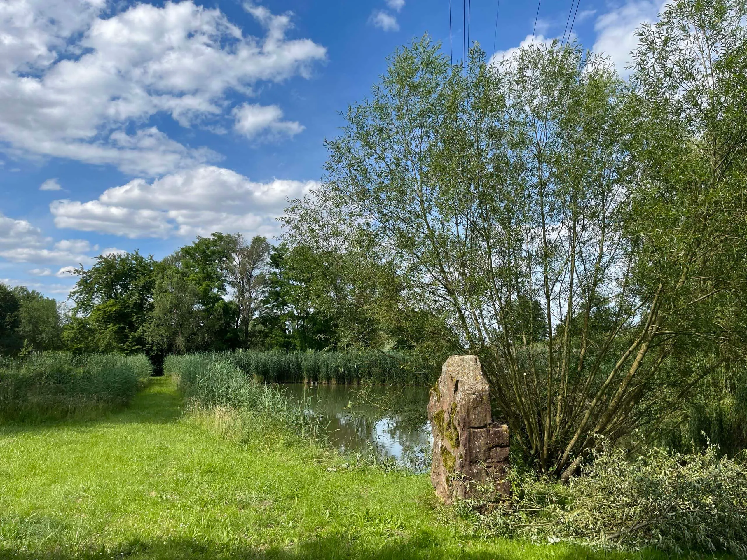 Etang à louer en Alsace de 1.5ha, l’endroit pour faire une belle fête de famille