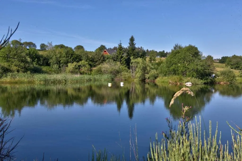 Magnifique chalet en bois avec son étang sauvage