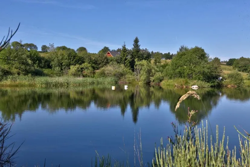 Magnifique chalet en bois avec son étang sauvage, tarif dégressif!!!