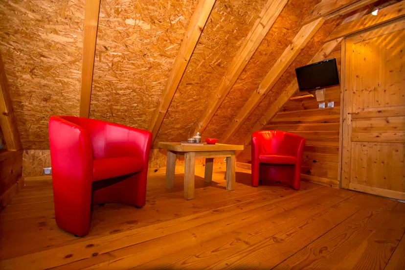UN CHALET D'EXCEPTION 15 PERSONNES POUR DES VACANCES INOUBLIABLES tarif dégressif !!