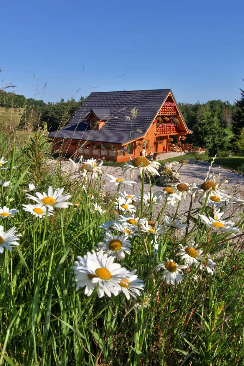 UN CHALET D'EXCEPTION 15 PERSONNES POUR DES VACANCES INOUBLIABLES tarif dégressif !!