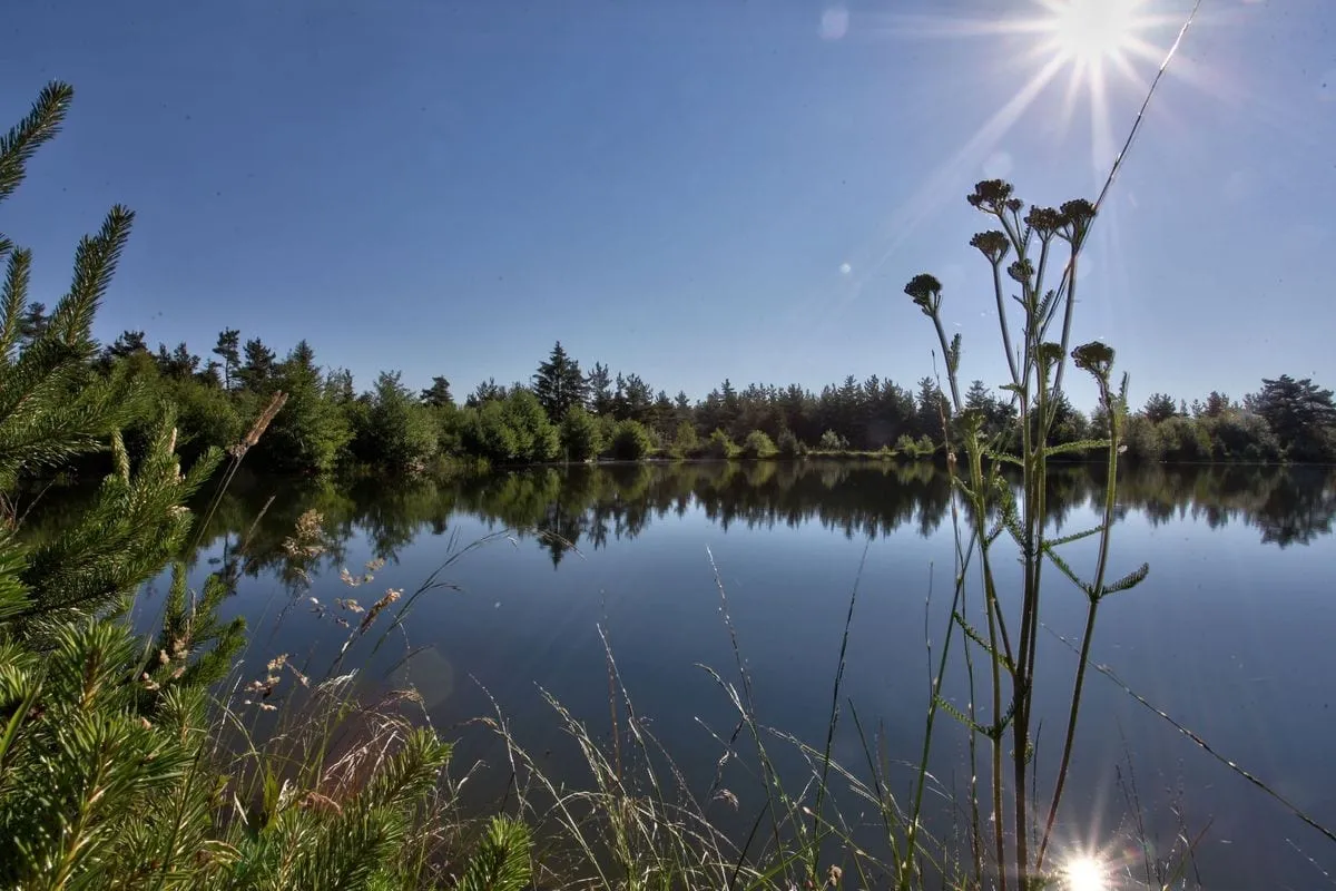 Magnifique chalet en bois avec son étang sauvage