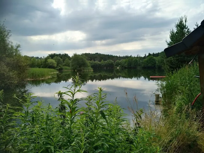 Magnifique chalet en bois avec son étang sauvage