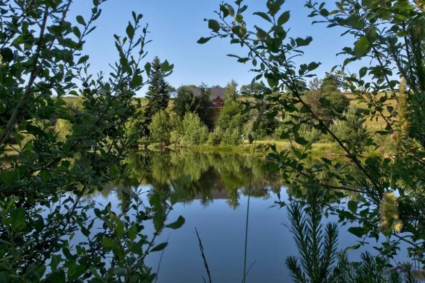 Magnifique chalet en bois avec son étang sauvage, tarif dégressif!!!