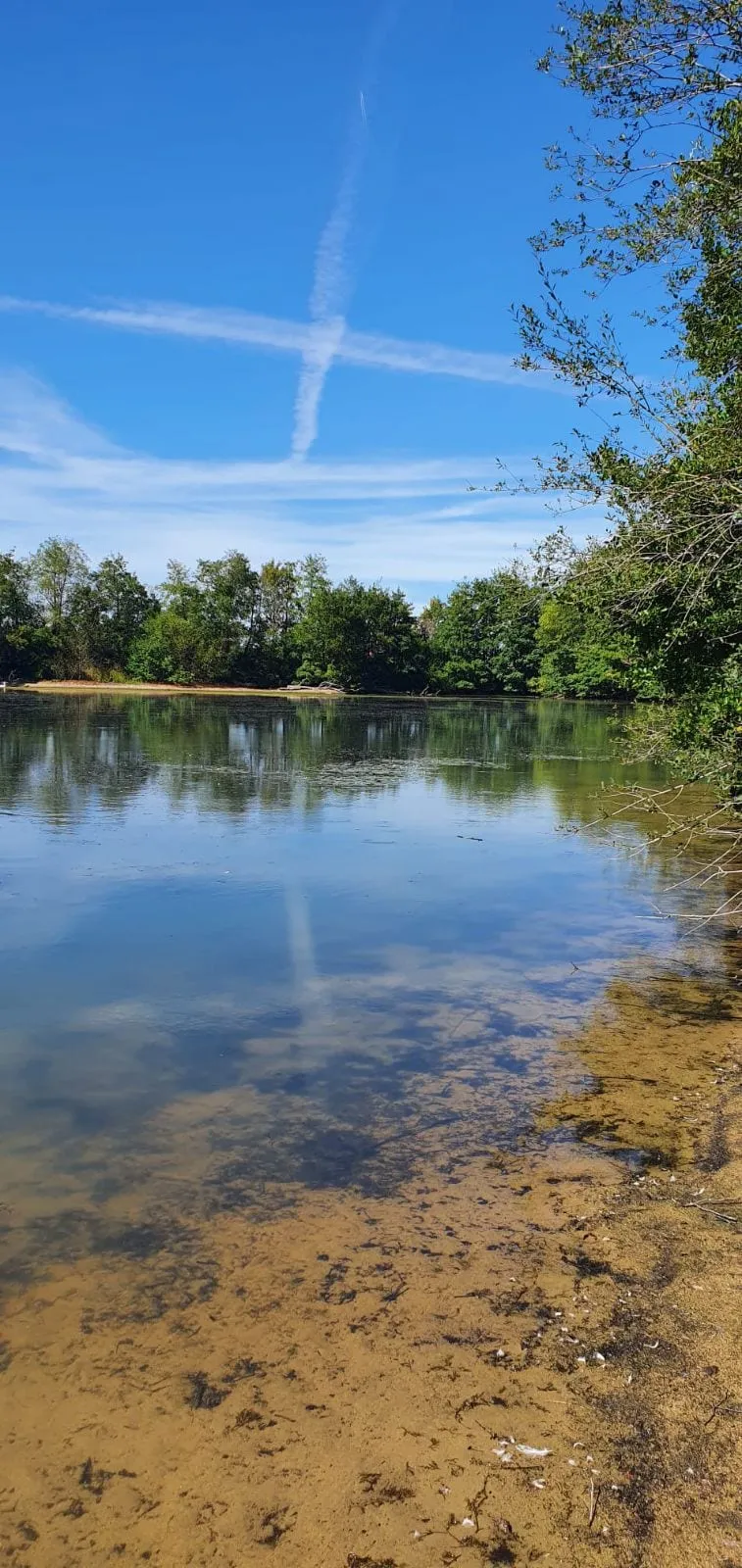 Etang de 6ha avec son mobil home