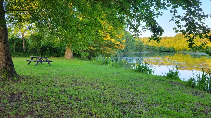Pêcher et camper au bord d'un étang privé de 9ha avec location de barque ou canoë
