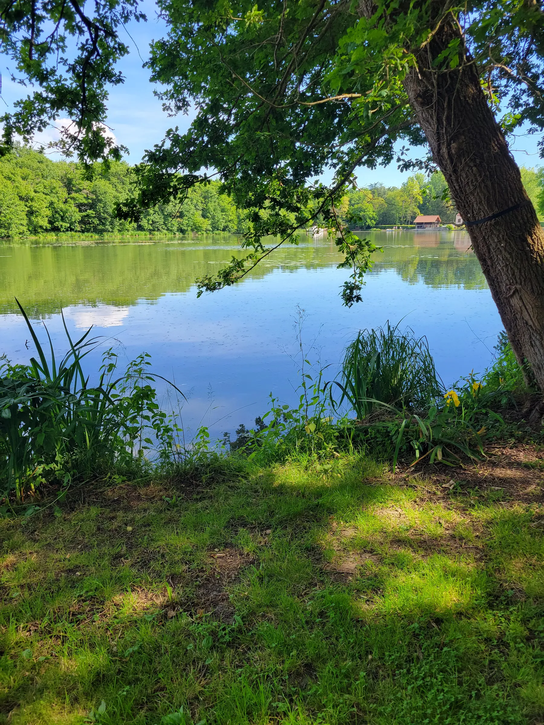 Location Péniche  pour 2  personnes + Pêche sur  létang de 9ha