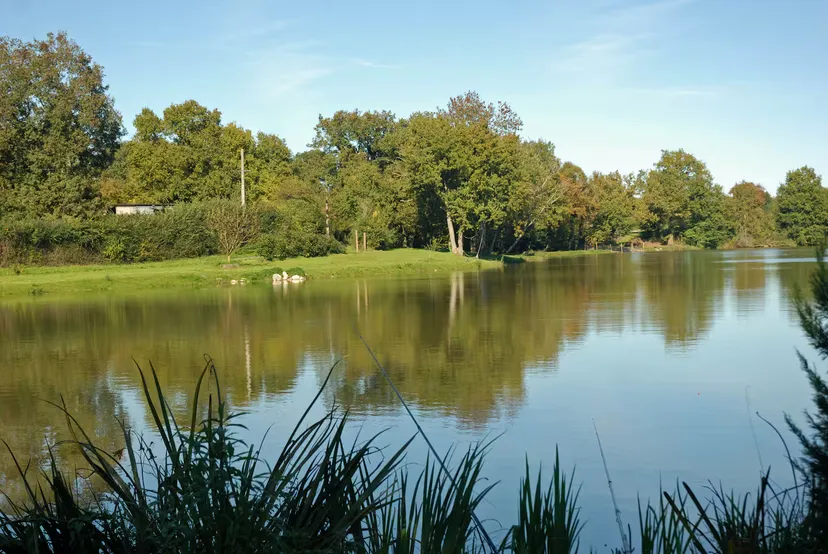 Roulotte et son étang de 9 hectares pour la pêche