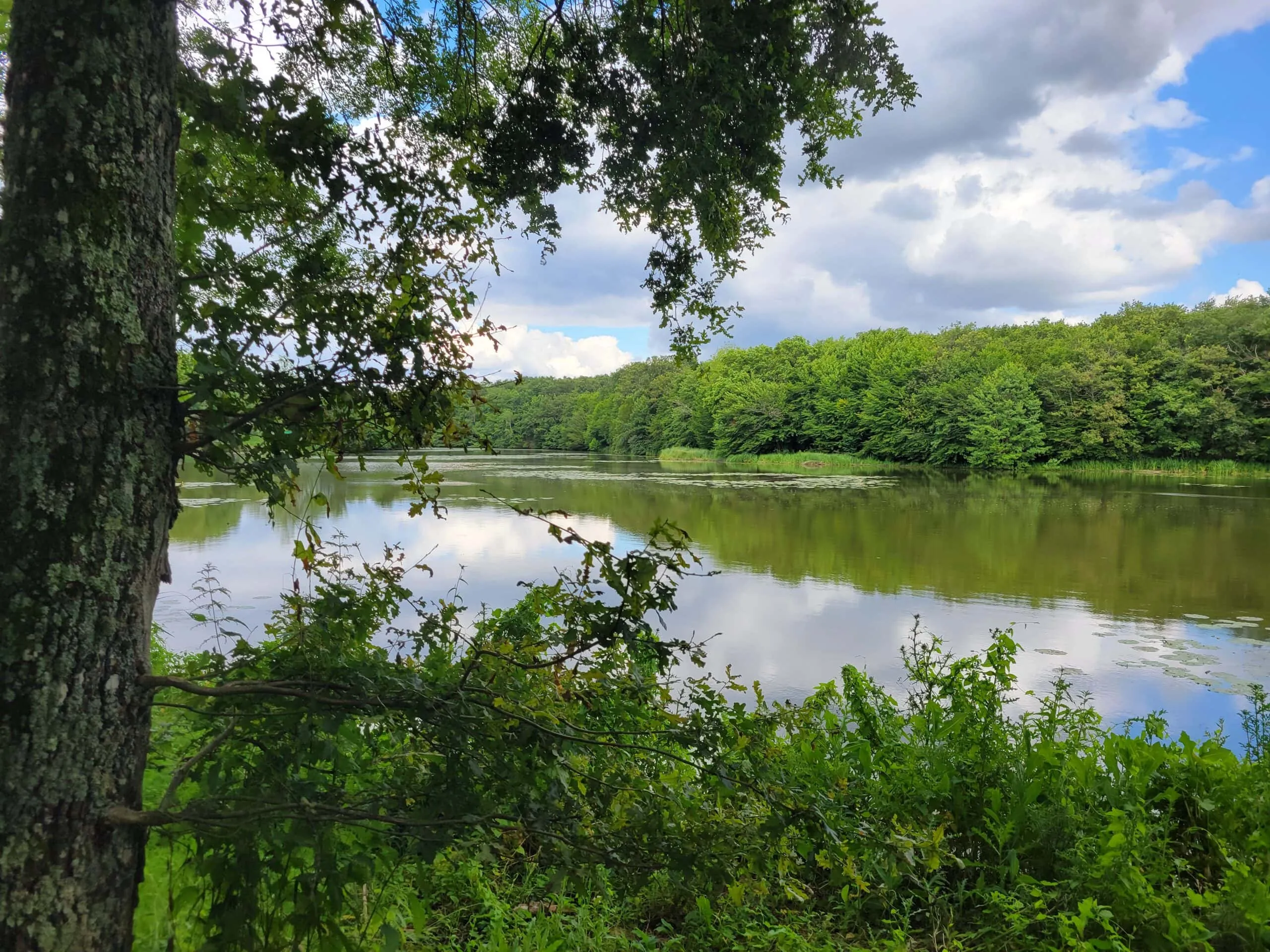 Gite 4 personnes à l’étage avec étang de 9 hectares