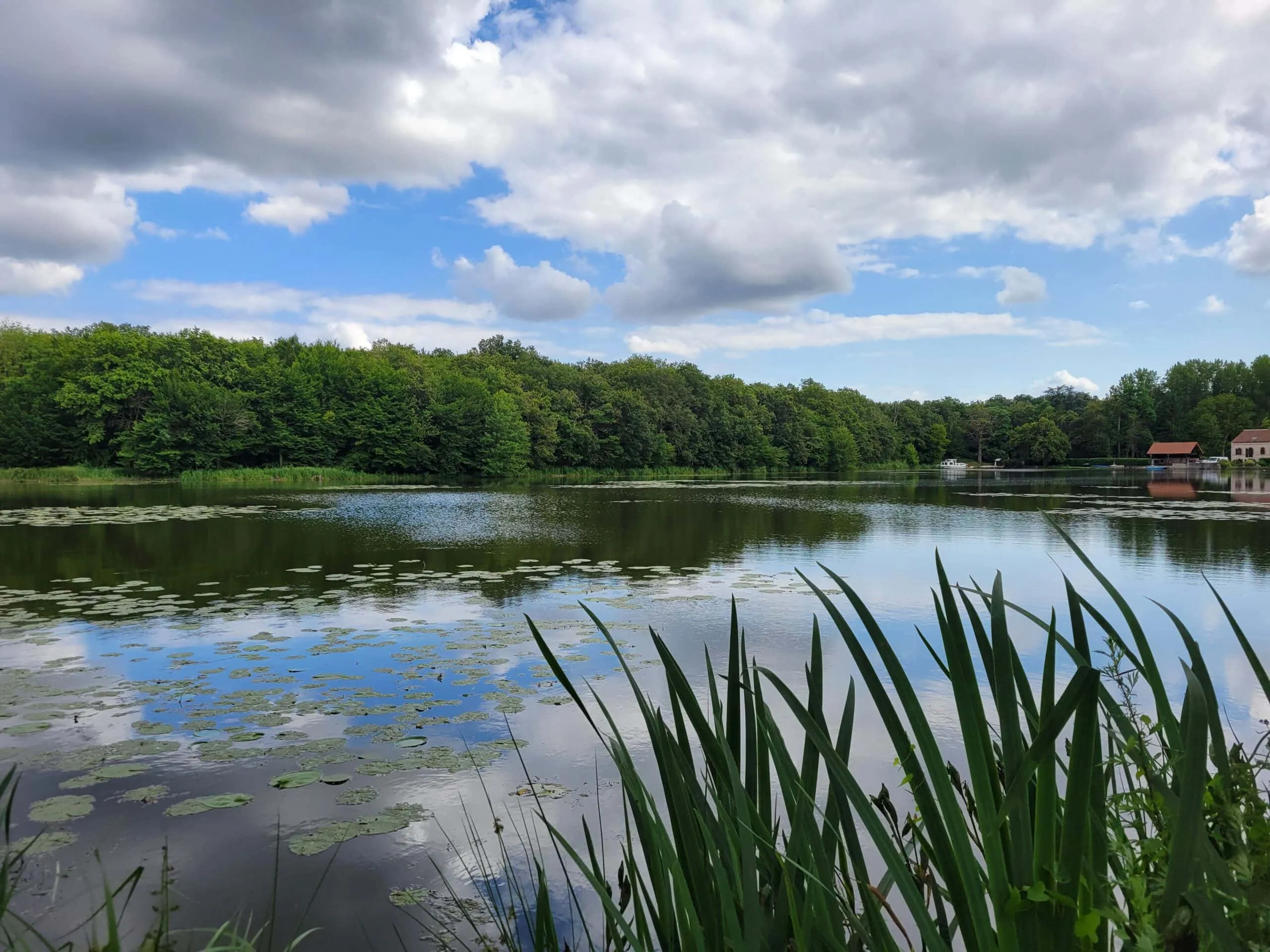 Roulotte au fond du jardin et son étang de 9 hectares avec de gros spécimens