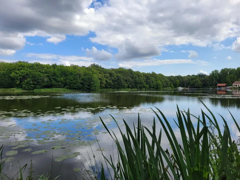 Roulotte et son étang de 9 hectares pour la pêche