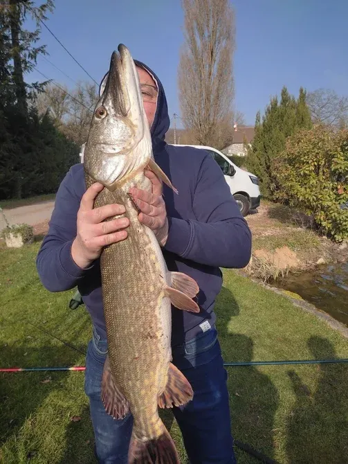 Roulotte au fond du jardin et son étang de 9 hectares avec de gros spécimens