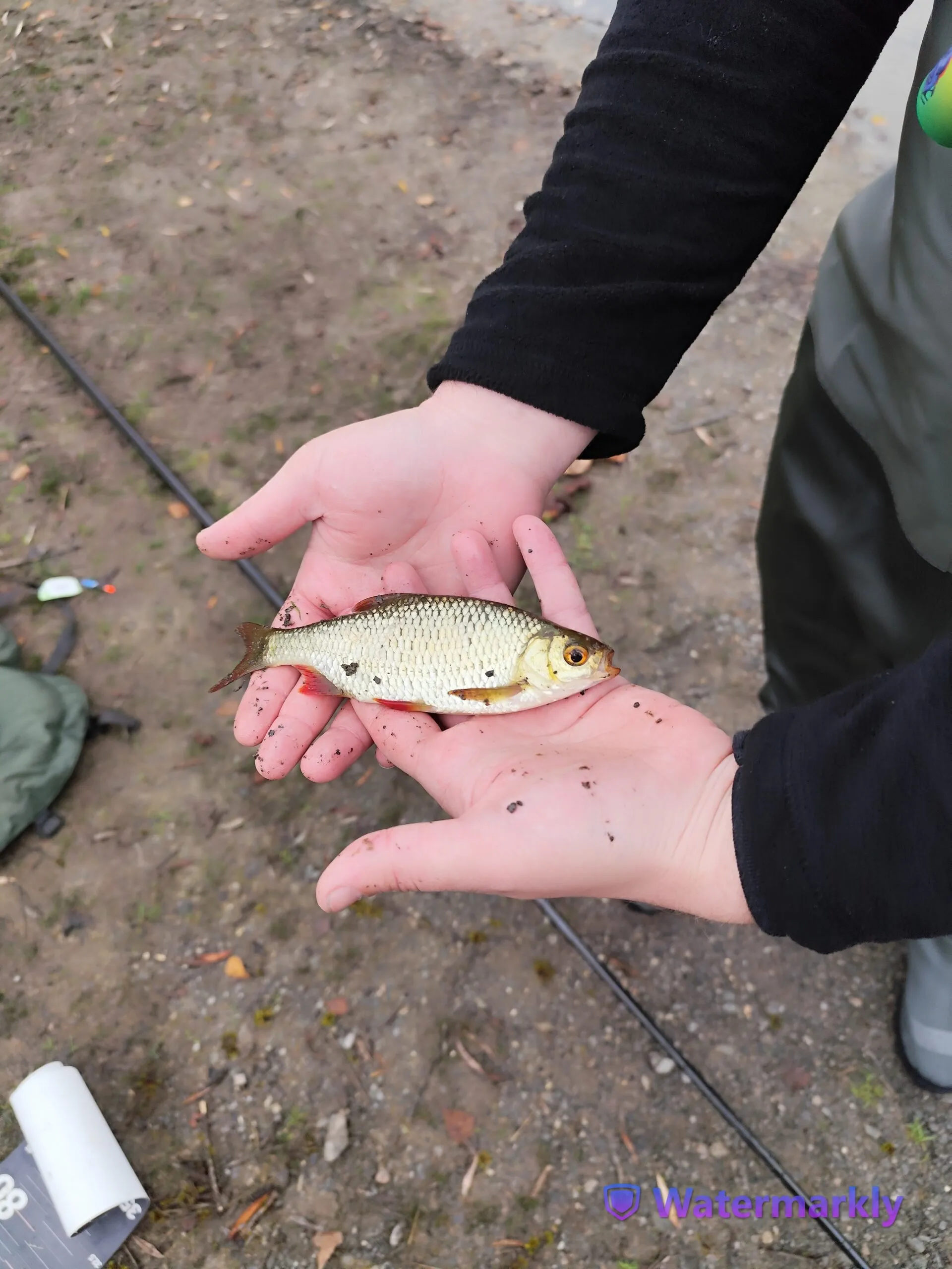 Etang en gravière de 2.5ha avec 12m de profondeur