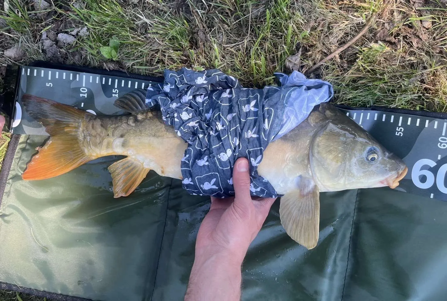 Etang au coeur des champs à louer pour un weekend