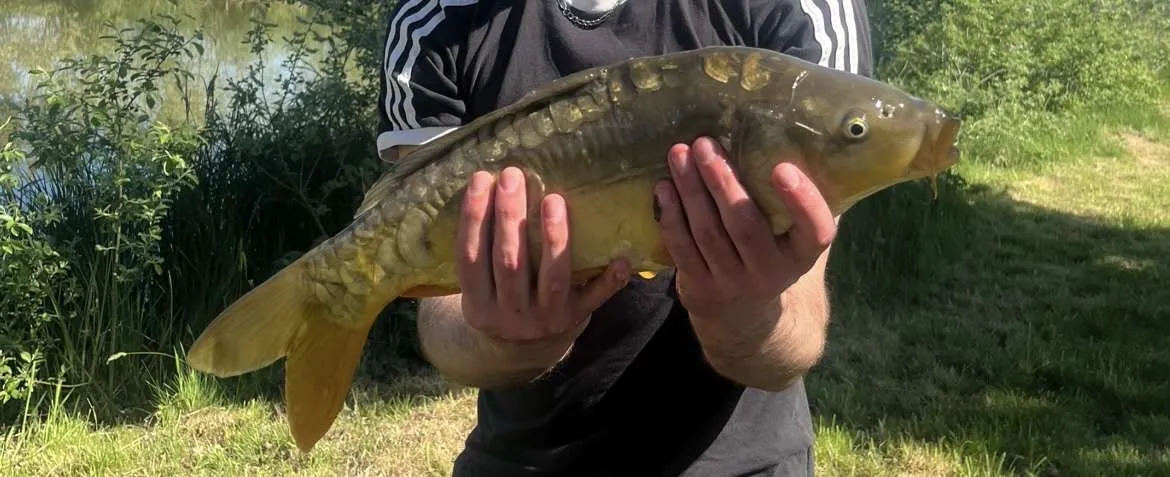 Etang au coeur des champs à louer pour un weekend