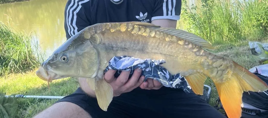 Etang au coeur des champs à louer pour un weekend