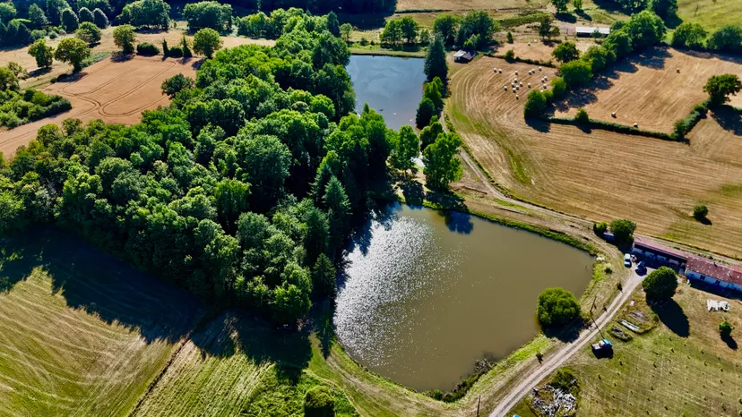 Etang au calme, pêche et détente avec terrain de pétanque