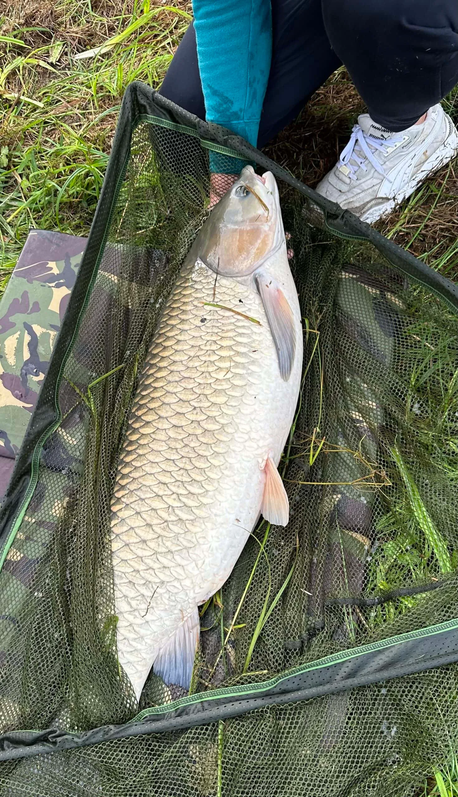 Etang au calme, pêche et détente avec terrain de pétanque