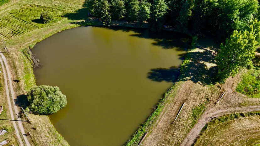 Etang au calme, pêche et détente avec terrain de pétanque