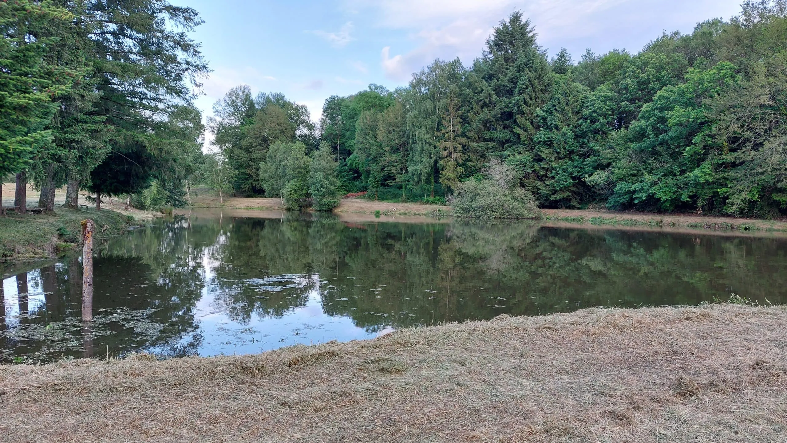 Etang au calme, pèche et détente