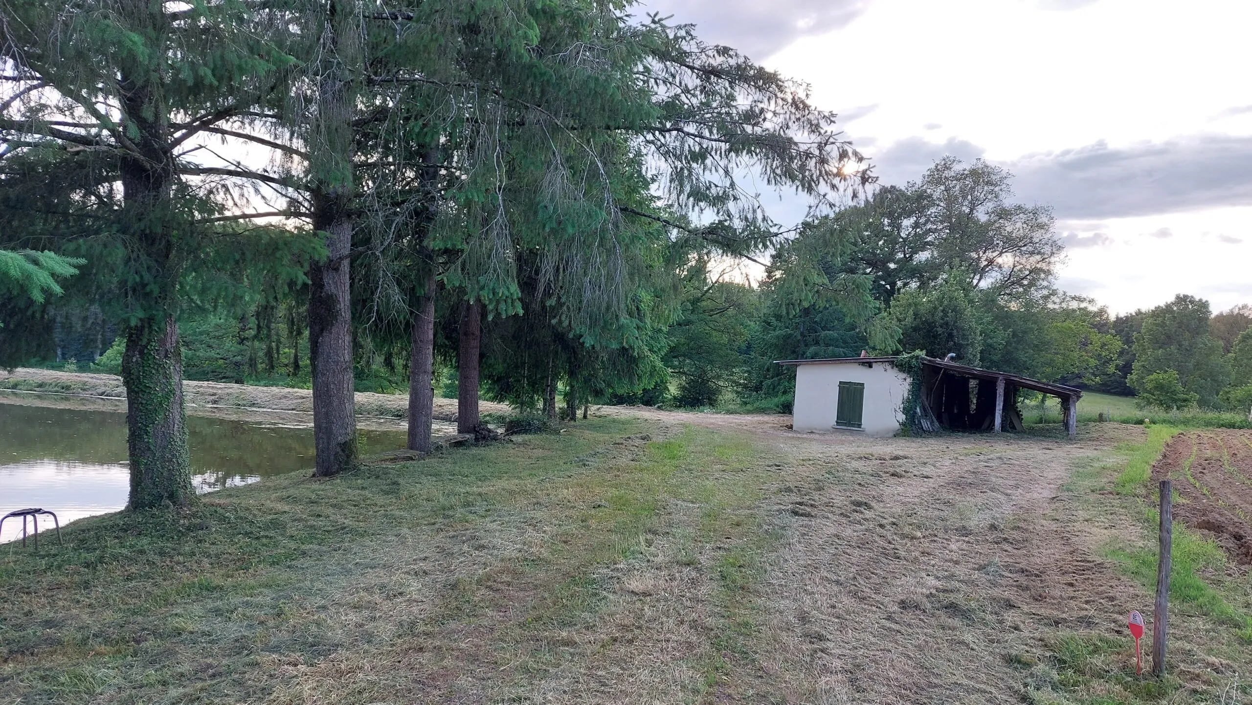 Etang au calme, pèche et détente