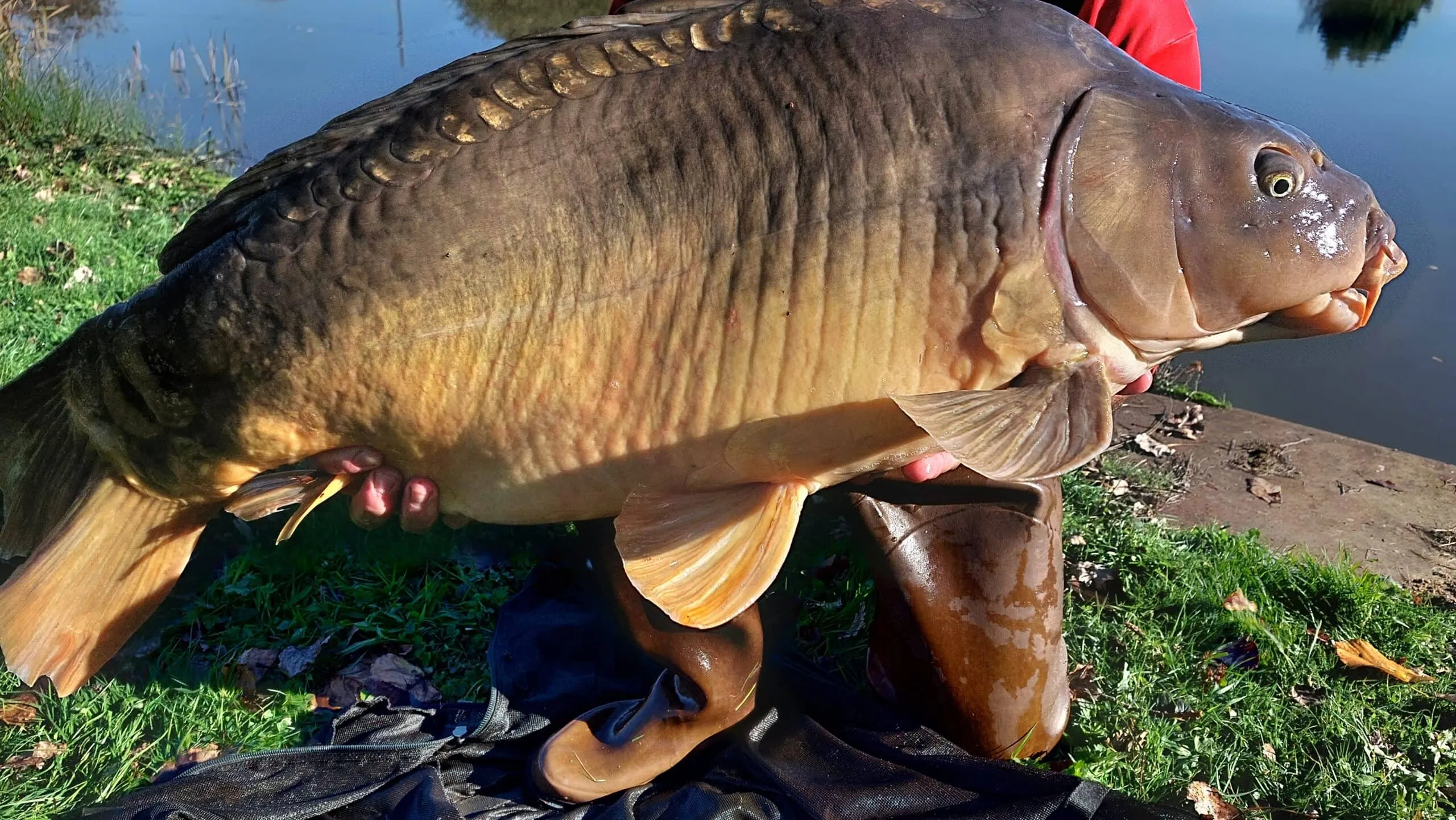Etang au calme, pêche et détente avec terrain de pétanque