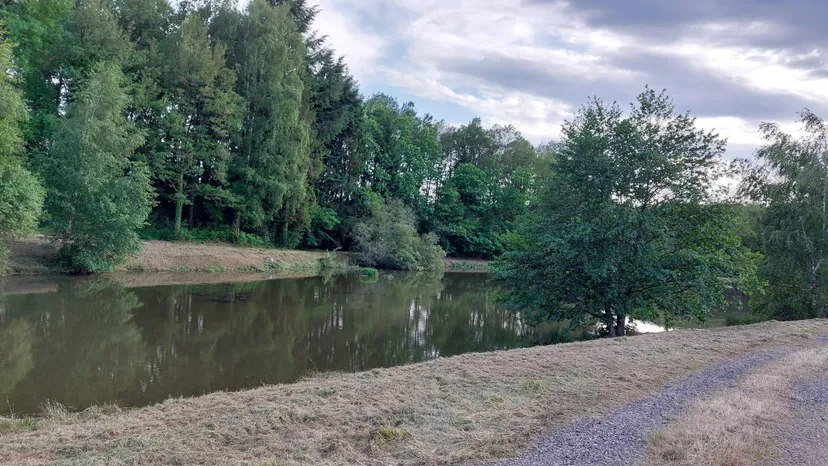 Etang au calme, pèche et détente