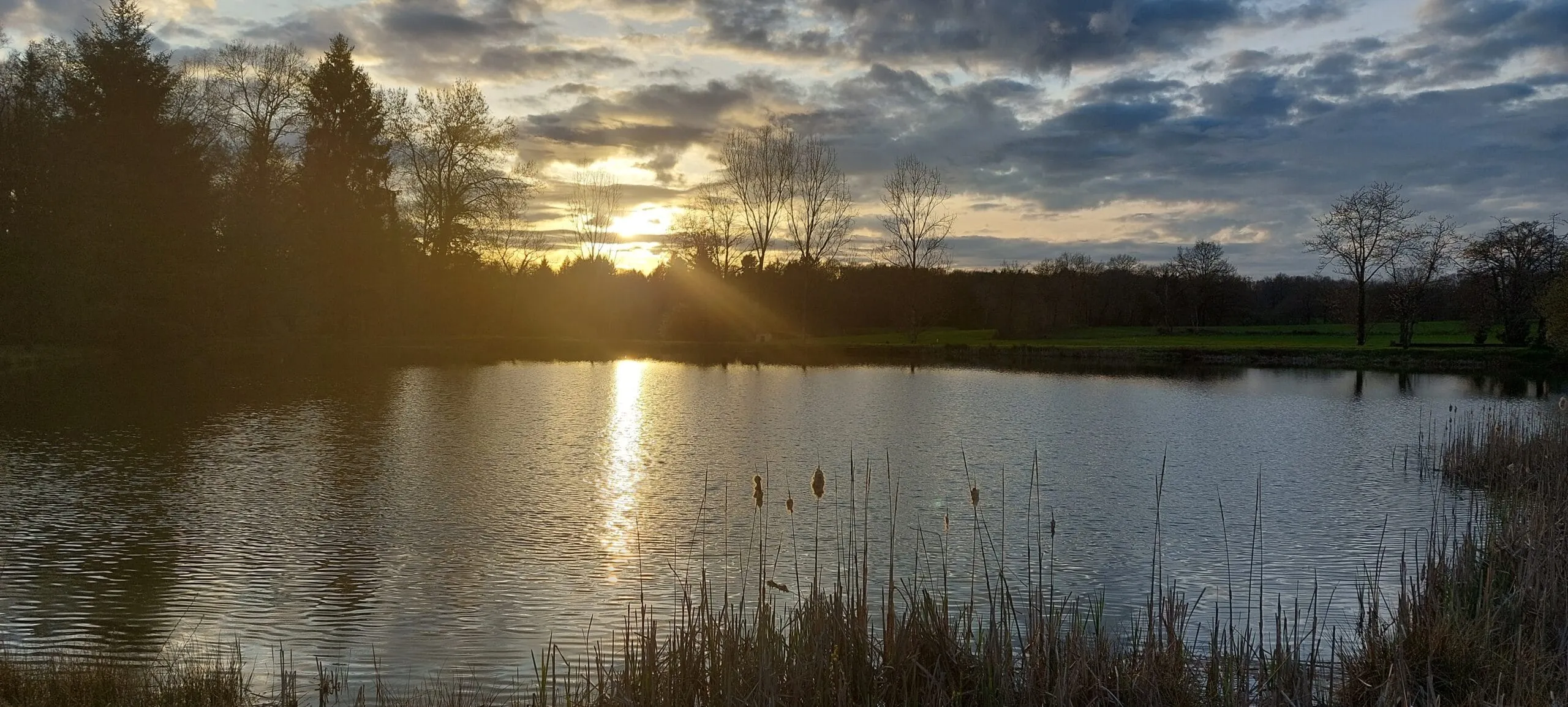 Etang au calme, pêche et détente avec terrain de pétanque