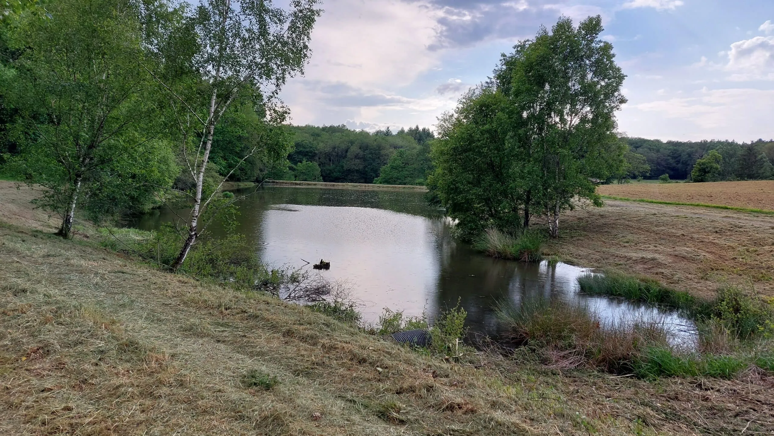 Etang au calme, pèche et détente