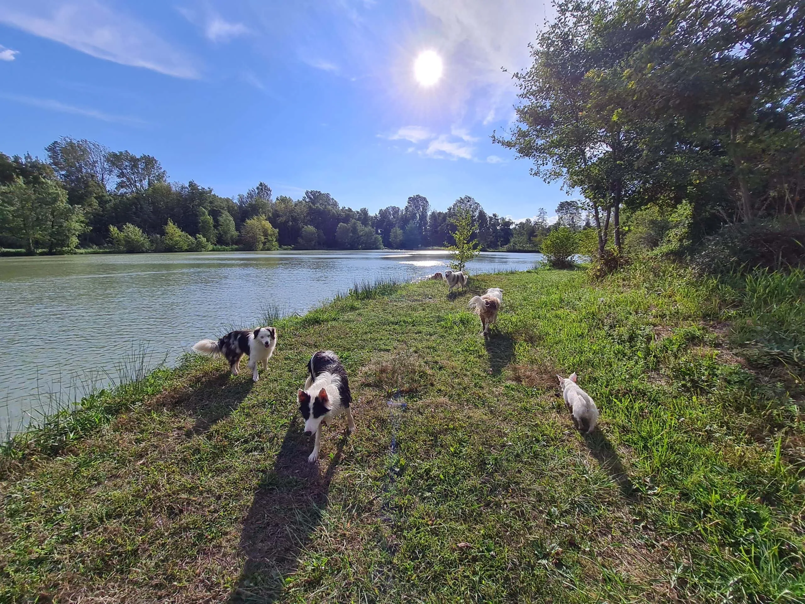Chalet au bord d'un étang privé