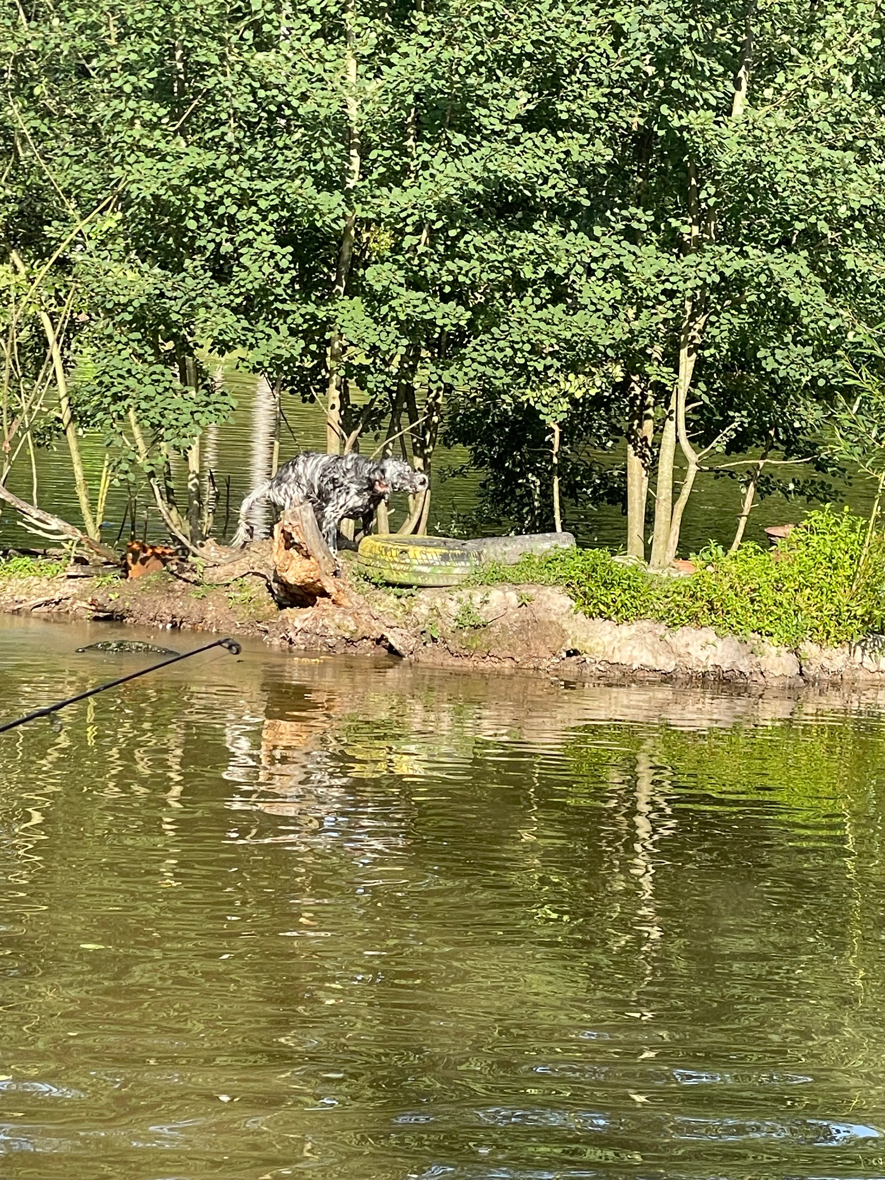 Petit coin de paradis à Fougerolles Saint Valbert en Haute-Saône