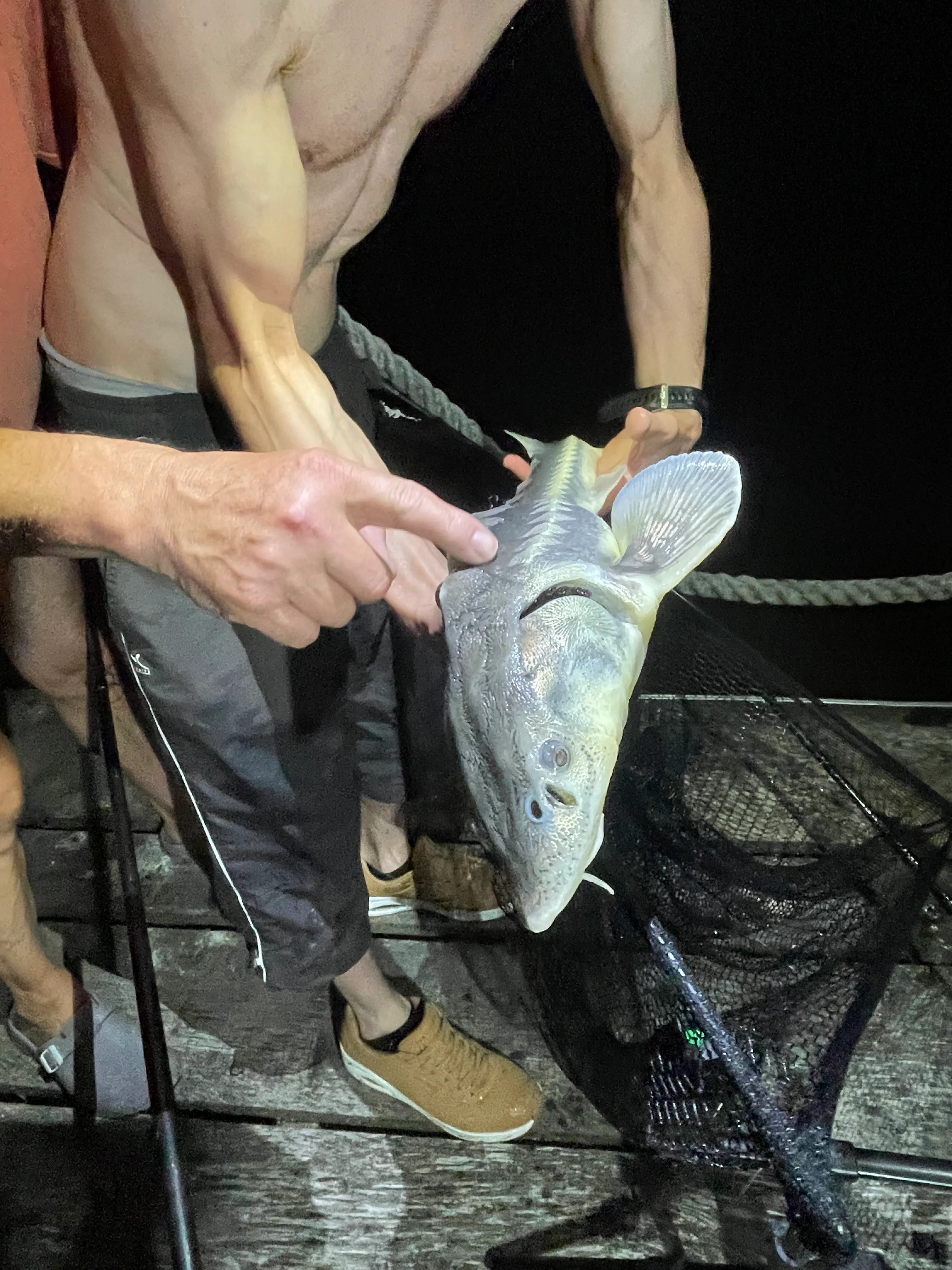 Petit coin de paradis à Fougerolles Saint Valbert en Haute-Saône