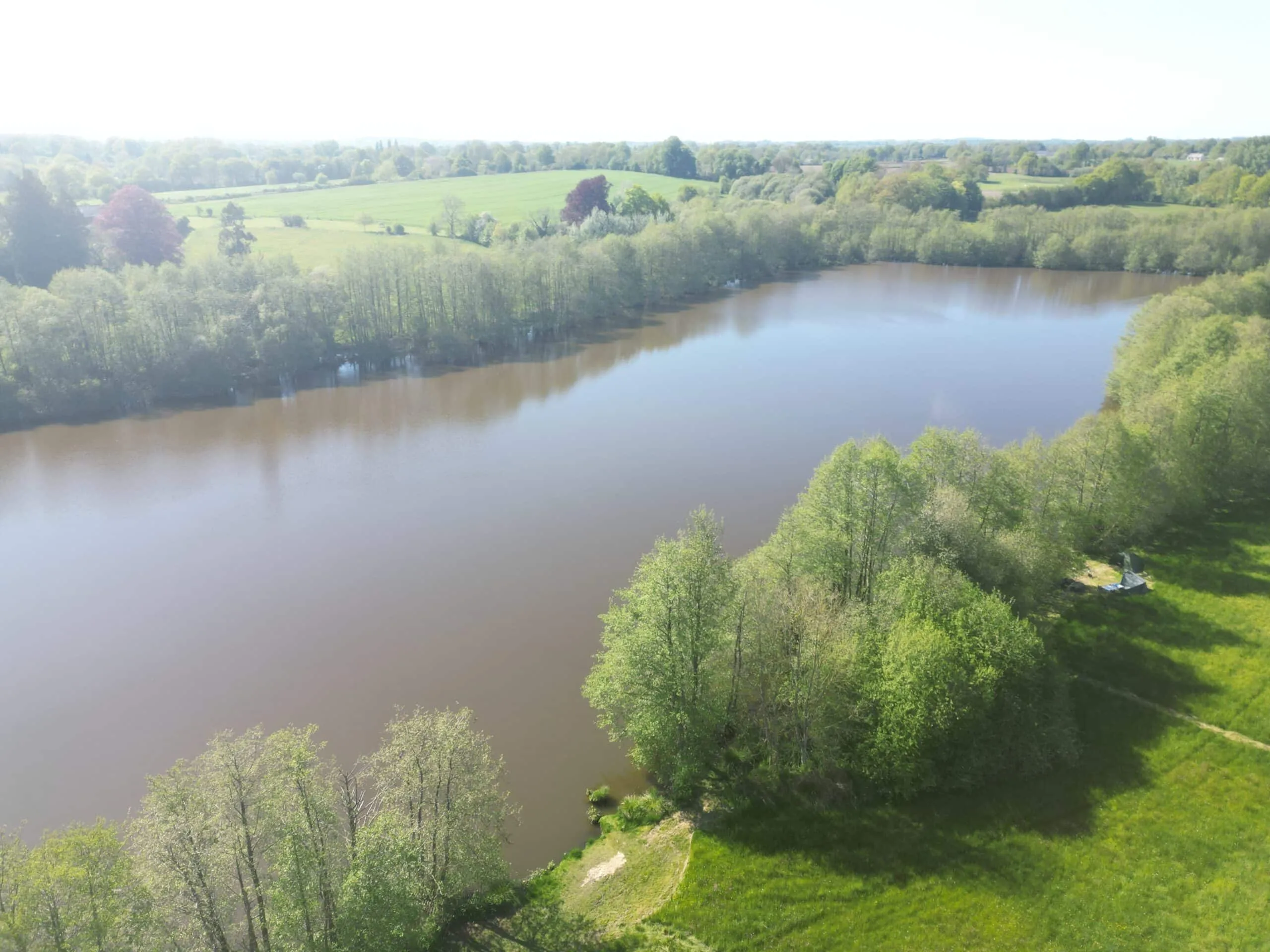 Etang avec un fort empoissonnement – Etang des milles et une carpe