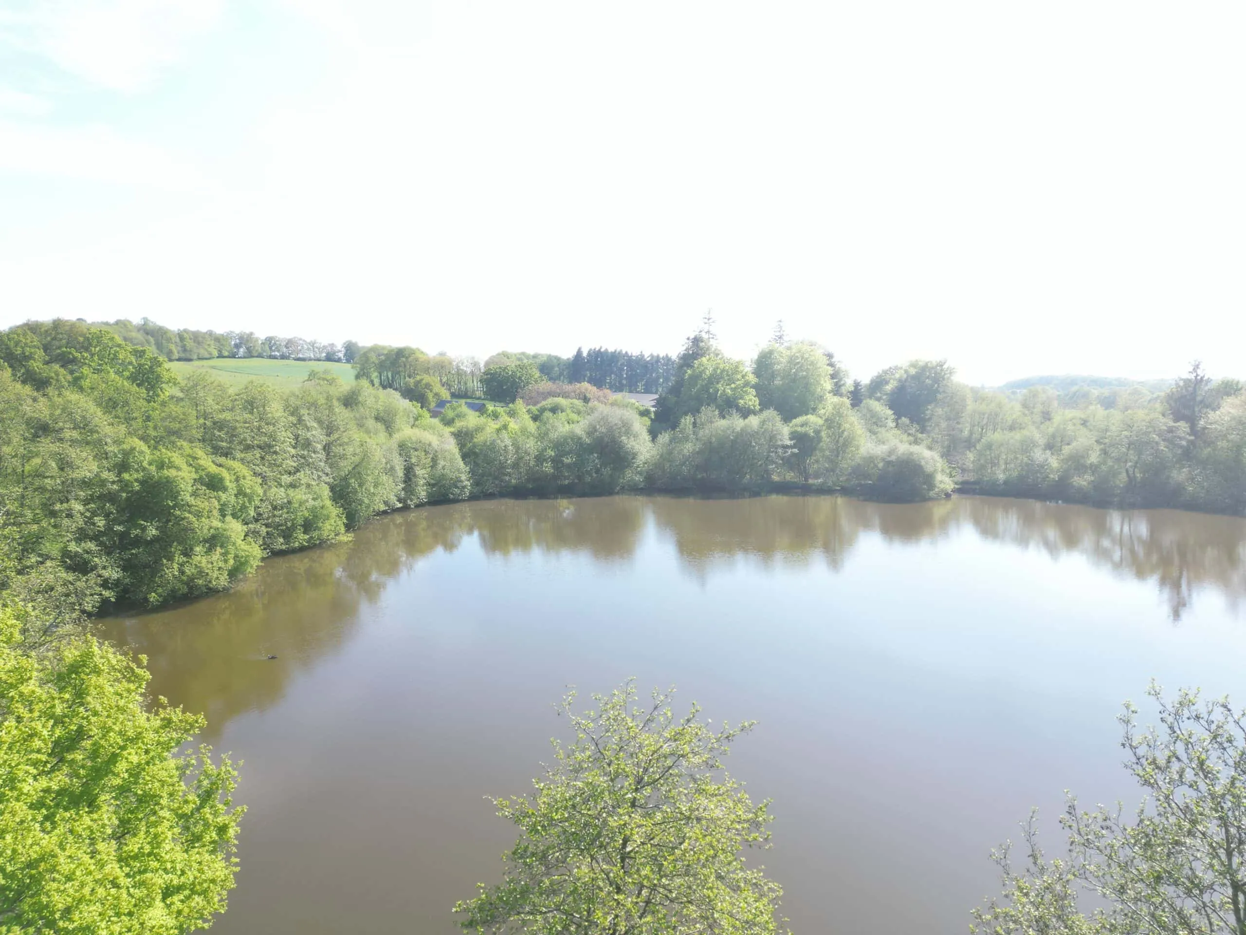 Etang avec un fort empoissonnement – Etang des milles et une carpe