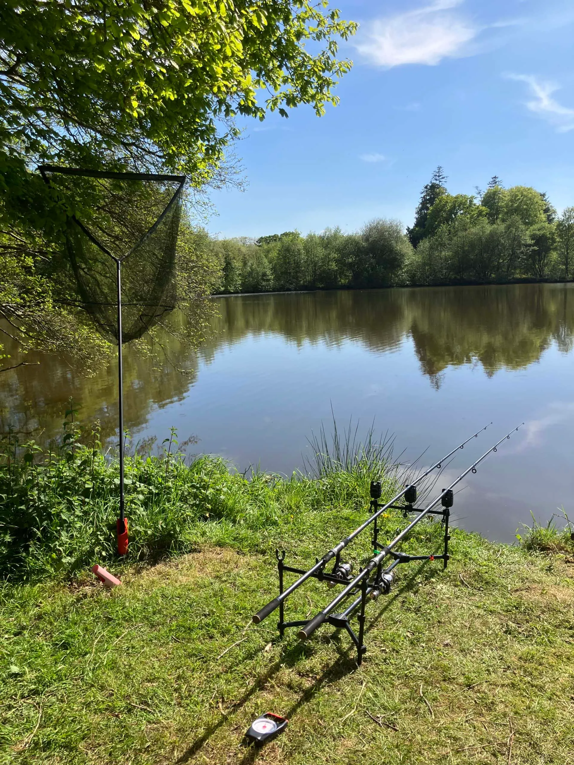 Etang avec un fort empoissonnement – Etang des milles et une carpe