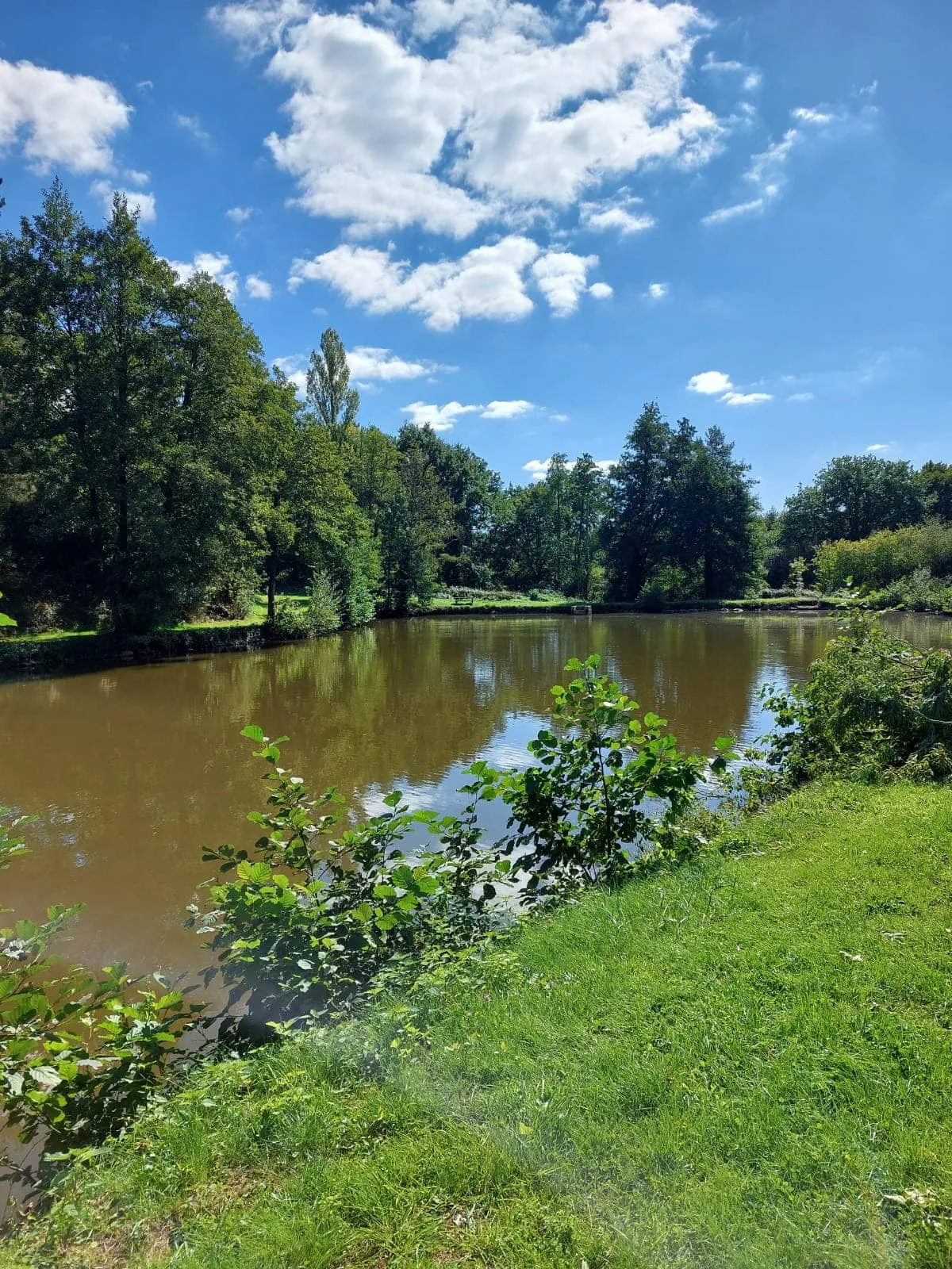 Etang au cœur de la campagne Mayennaise, parfait une journée pêche et barbecue