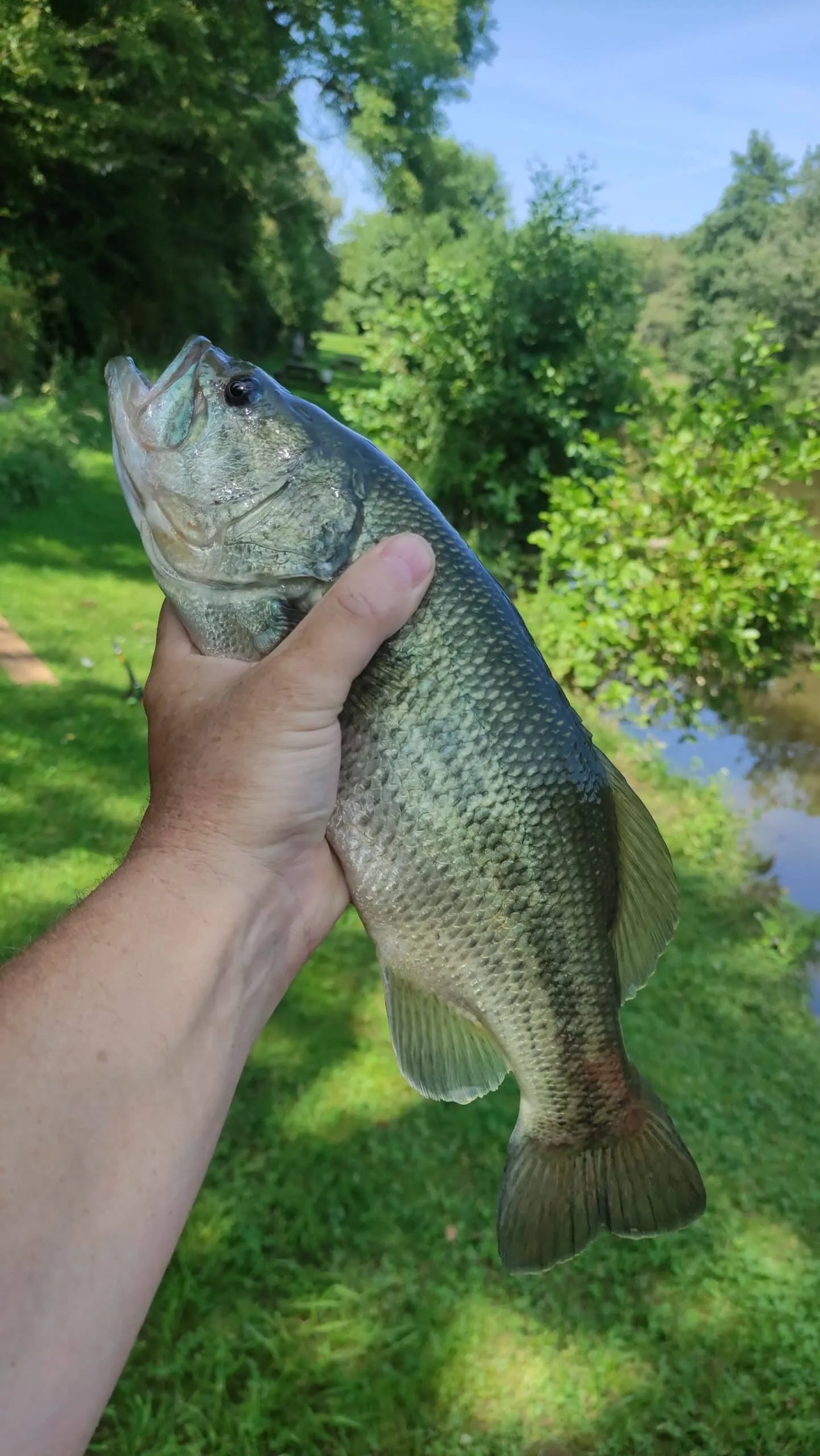 Etang au cœur de la campagne Mayennaise, parfait une journée pêche et barbecue