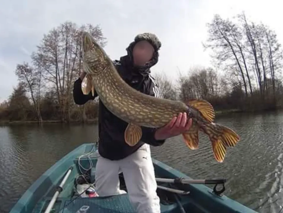 Louez 2 étangs avec une chambre tout équipée + camping autorisé dans l’eure