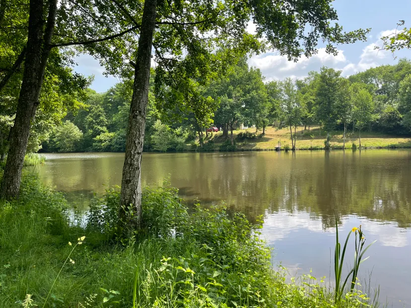 Unusual chalet by a beautiful private pond