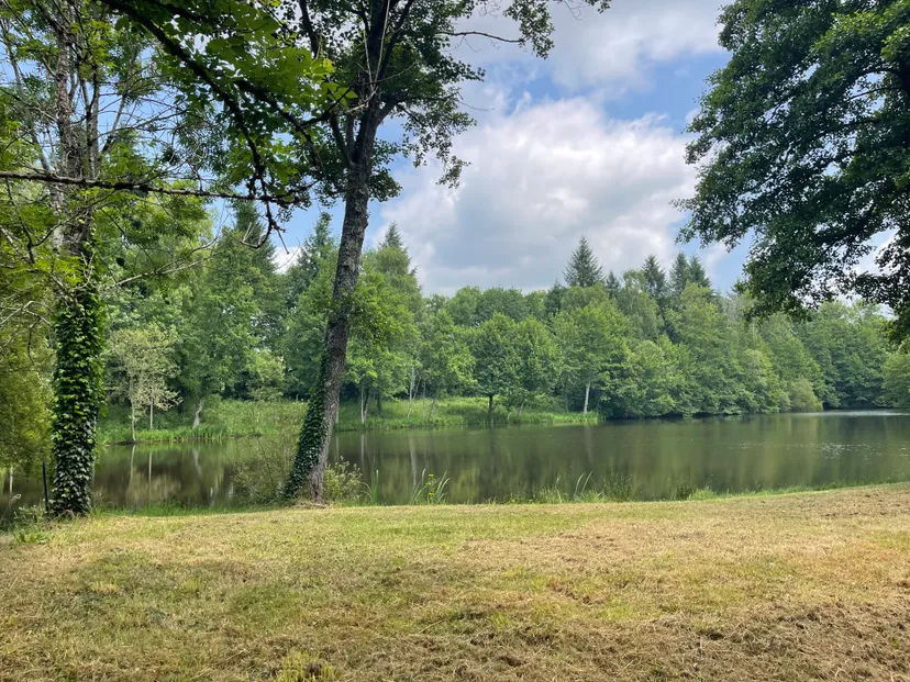 Unusual chalet by a beautiful private pond