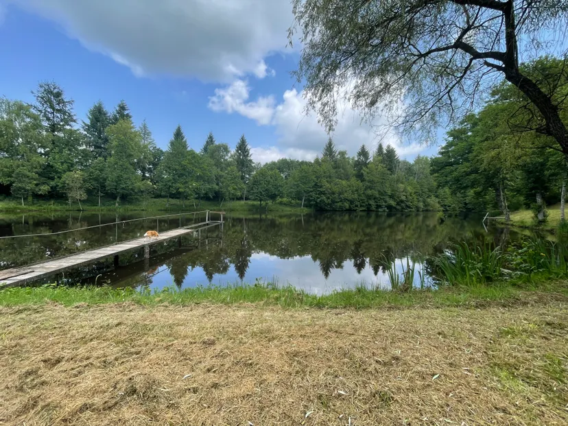 Unusual chalet by a beautiful private pond