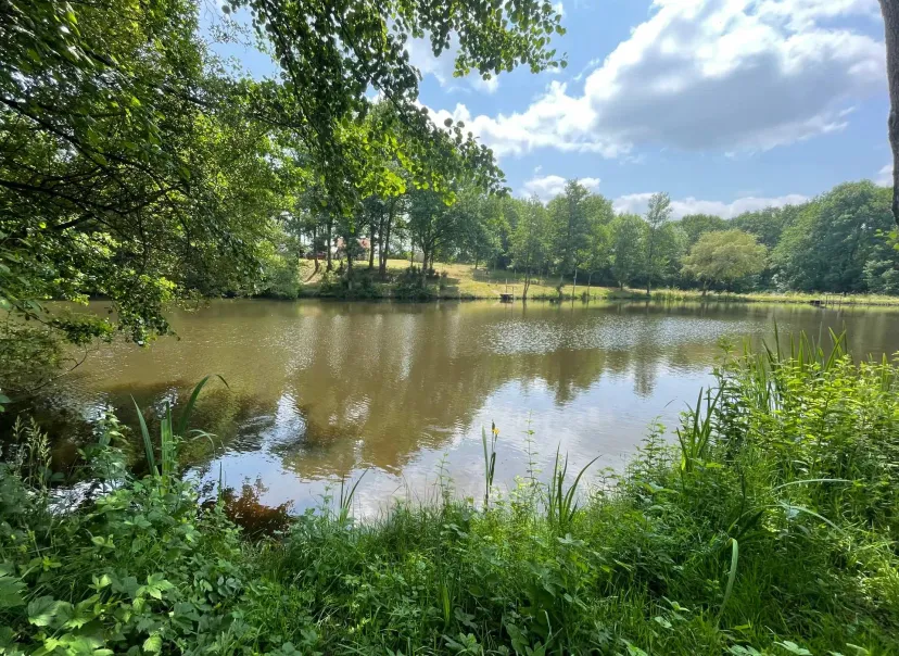 Two 4.94 ac private ponds on a 14.83 ac wooded estate